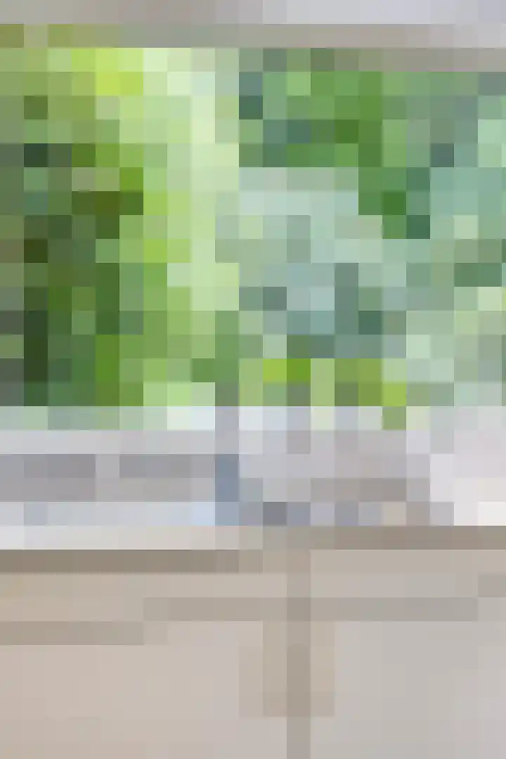 Melsbroekhof 10 Eindhoven thumbnail 27