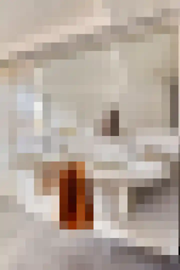 Melsbroekhof 10 Eindhoven thumbnail 37
