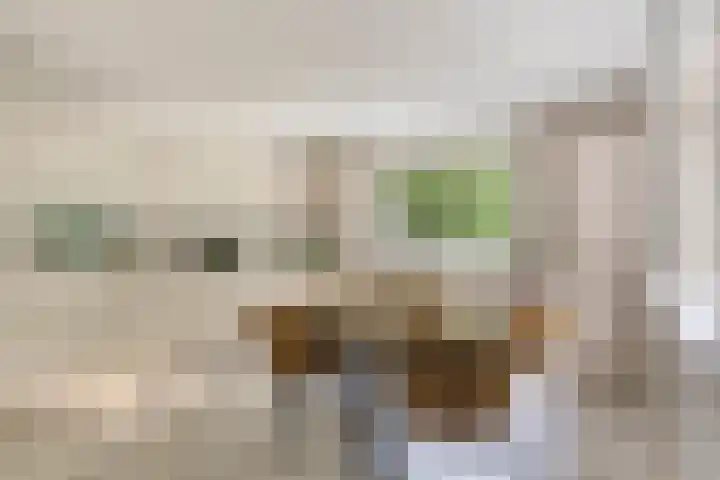 Melsbroekhof 10 Eindhoven thumbnail 4