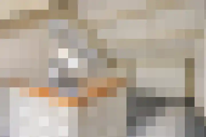Melsbroekhof 10 Eindhoven thumbnail 42