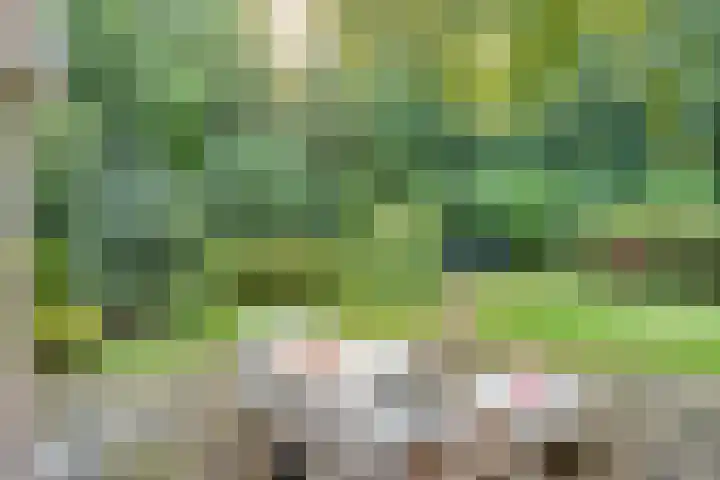 Melsbroekhof 10 Eindhoven thumbnail 45