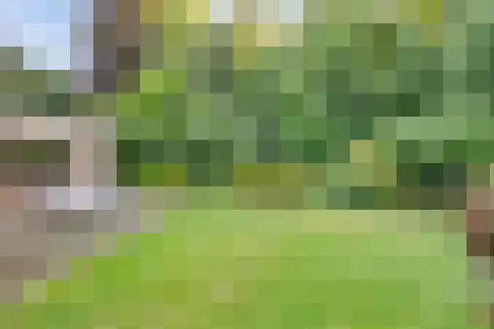 Melsbroekhof 10 Eindhoven thumbnail 46