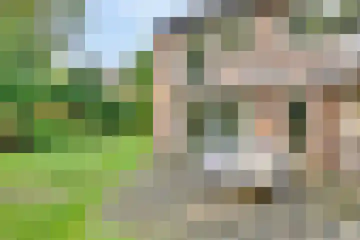 Melsbroekhof 10 Eindhoven thumbnail 47