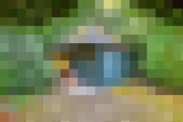 Melsbroekhof 10 Eindhoven thumbnail 48