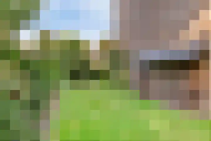Melsbroekhof 10 Eindhoven thumbnail 49