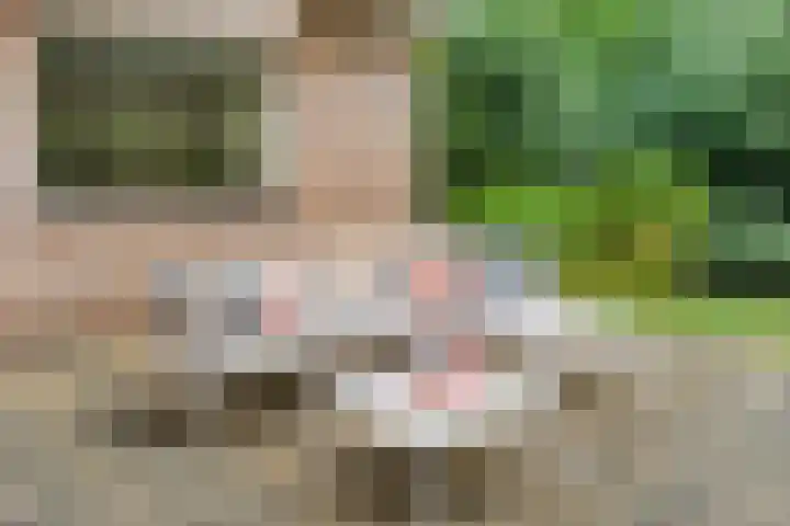 Melsbroekhof 10 Eindhoven thumbnail 50