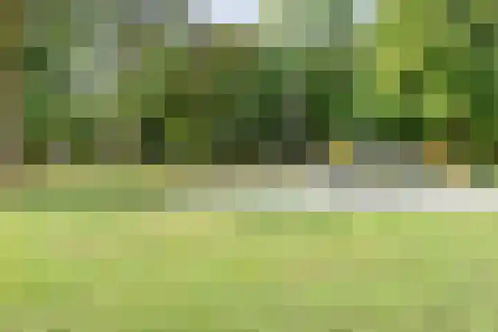 Melsbroekhof 10 Eindhoven thumbnail 51