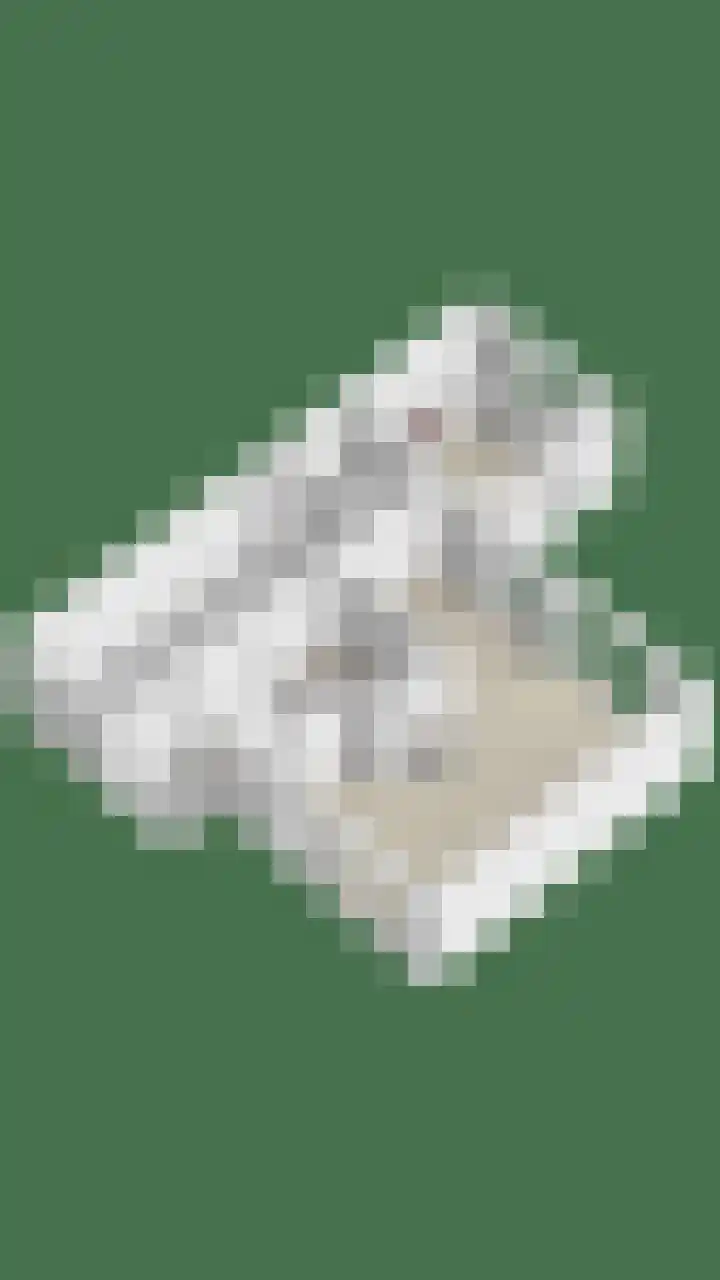 Melsbroekhof 10 Eindhoven thumbnail 52