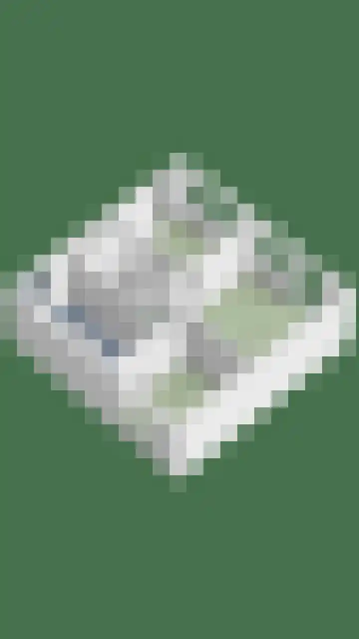 Melsbroekhof 10 Eindhoven thumbnail 53