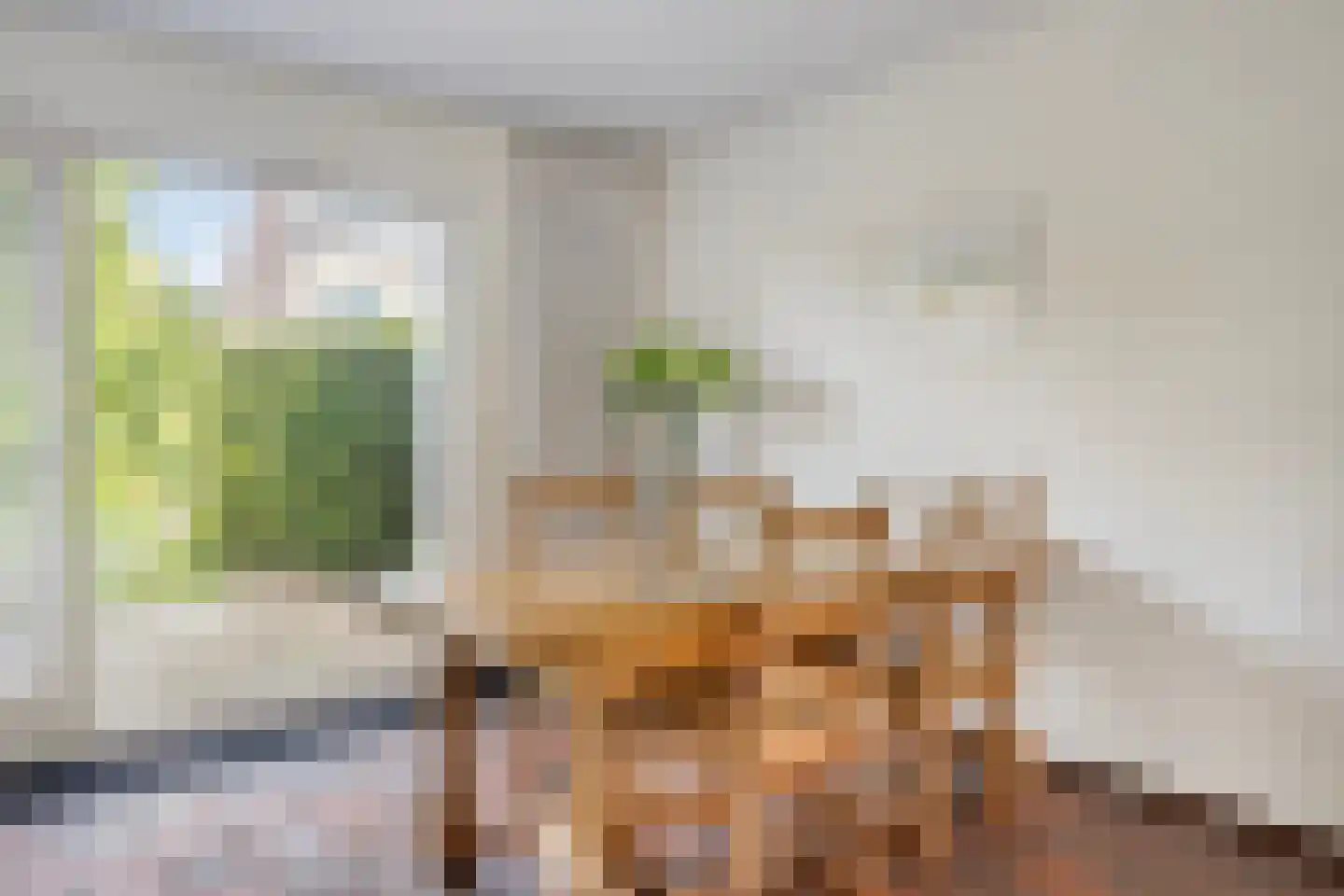 Melsbroekhof 5 Eindhoven thumbnail 18