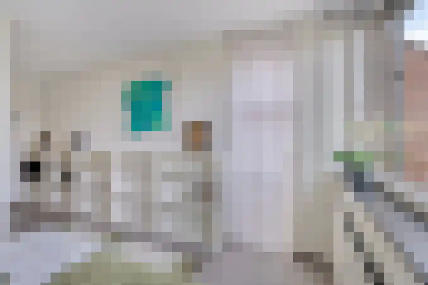 Melsbroekhof 5 Eindhoven thumbnail 32