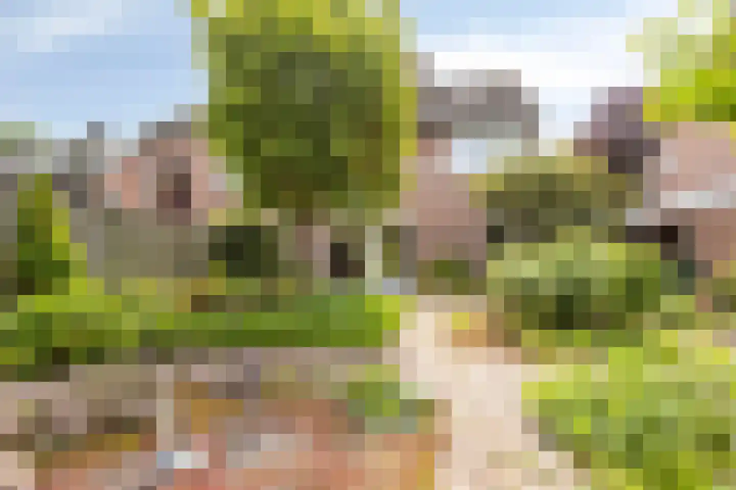 Melsbroekhof 5 Eindhoven thumbnail 5