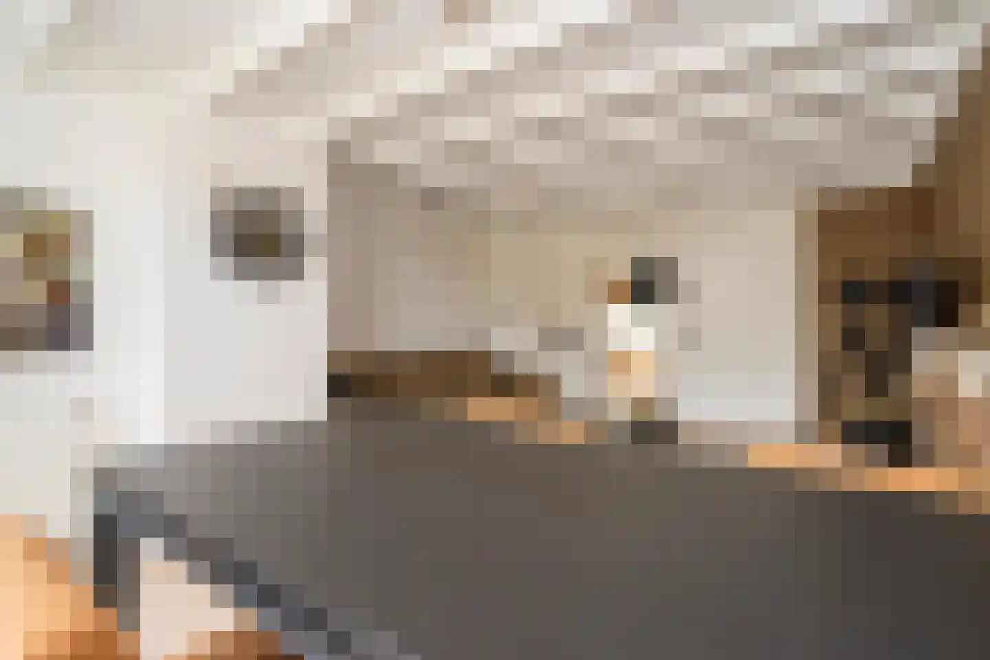 Melsbroekstraat 17 Tilburg thumbnail 13