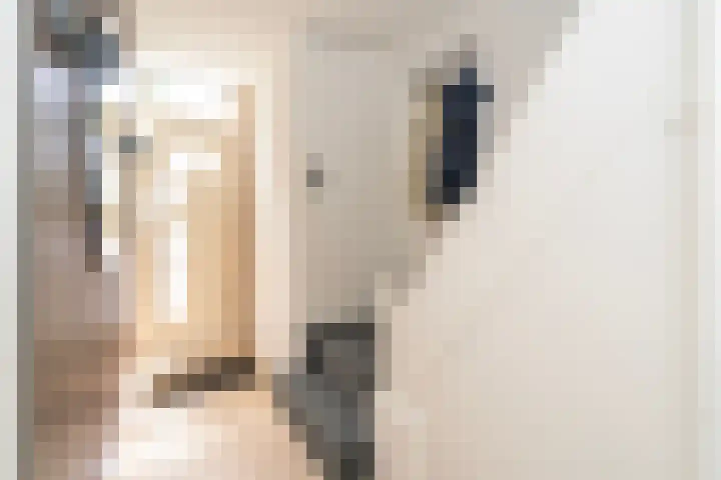 Melsbroekstraat 17 Tilburg thumbnail 7