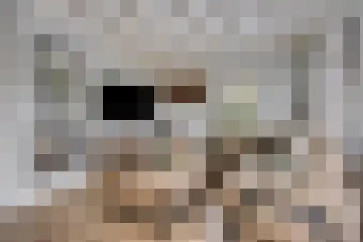Melssinghdreef 13 Tuil thumbnail 10