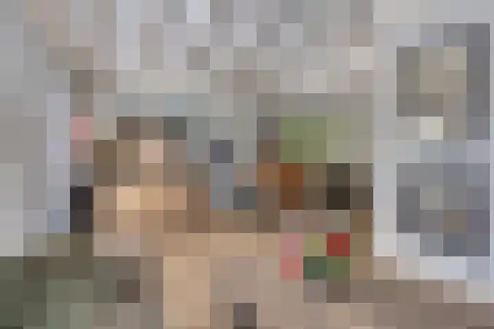 Melssinghdreef 13 Tuil thumbnail 11