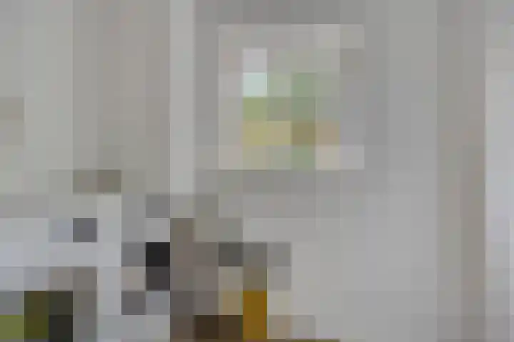 Melssinghdreef 13 Tuil thumbnail 16