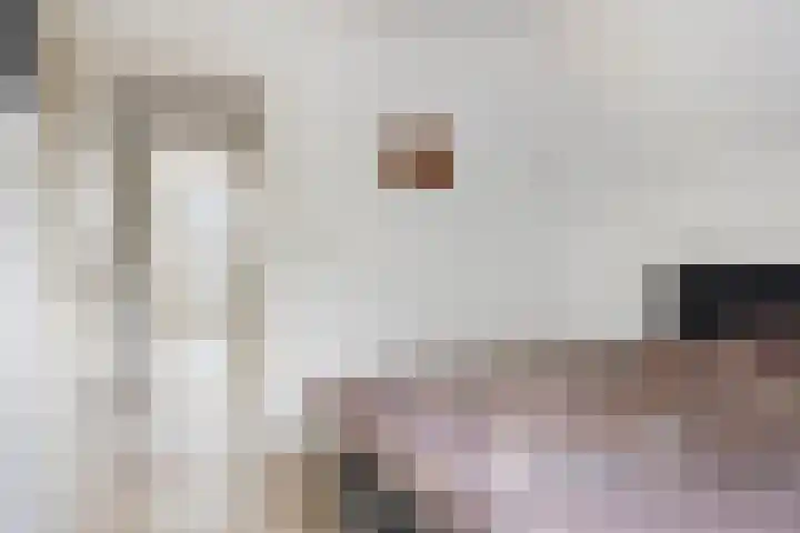 Melssinghdreef 13 Tuil thumbnail 21