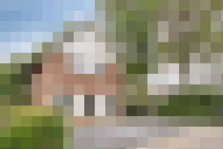 Melssinghdreef 13 Tuil foto 3