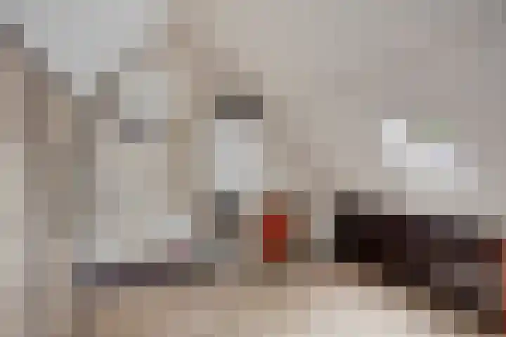 Melssinghdreef 13 Tuil thumbnail 31
