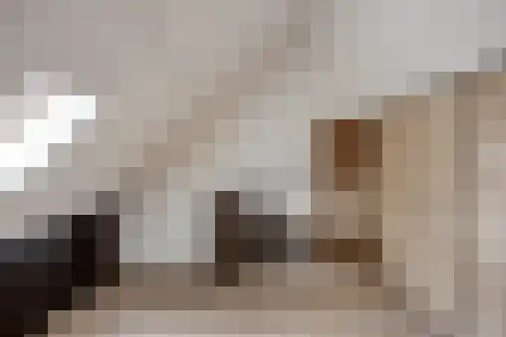Melssinghdreef 13 Tuil thumbnail 32