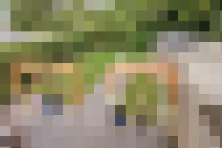 Melssinghdreef 13 Tuil thumbnail 33