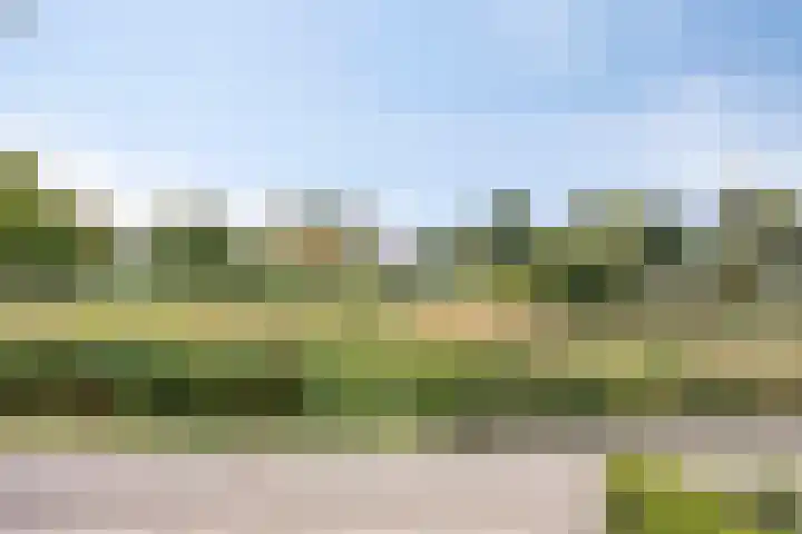 Melssinghdreef 13 Tuil thumbnail 34