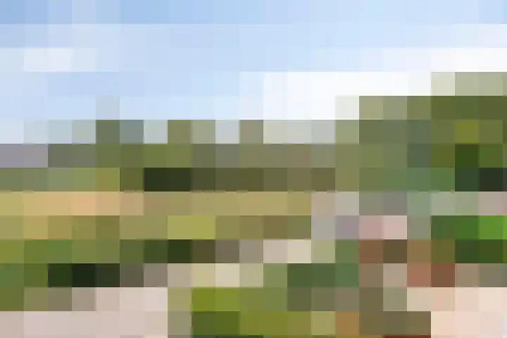 Melssinghdreef 13 Tuil thumbnail 35