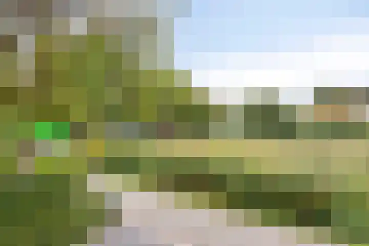 Melssinghdreef 13 Tuil thumbnail 36