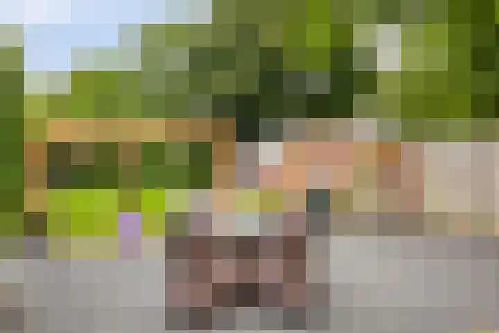Melssinghdreef 13 Tuil thumbnail 37