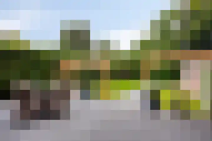 Melssinghdreef 13 Tuil thumbnail 38