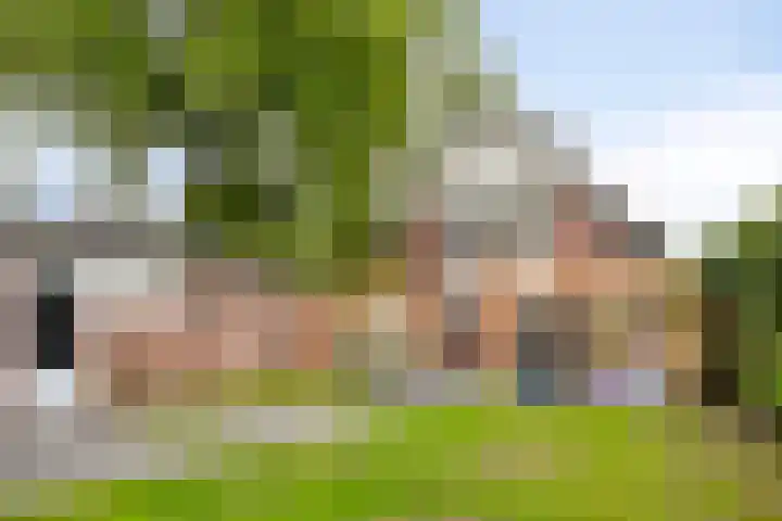 Melssinghdreef 13 Tuil thumbnail 39