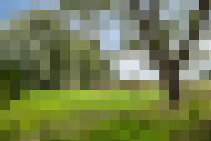 Melssinghdreef 13 Tuil thumbnail 42