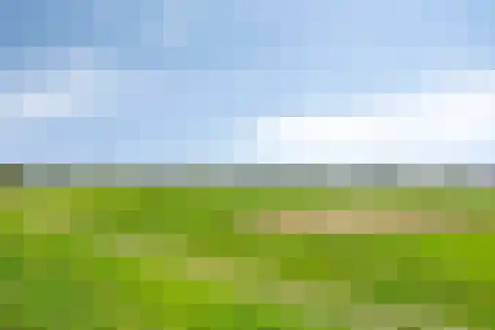 Melssinghdreef 13 Tuil thumbnail 43