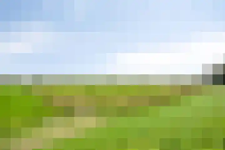 Melssinghdreef 13 Tuil thumbnail 44