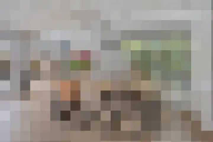 Melssinghdreef 13 Tuil thumbnail 6