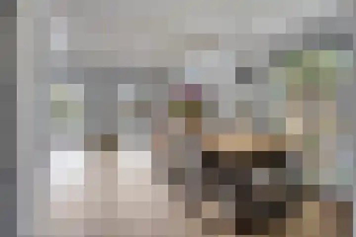 Melssinghdreef 13 Tuil thumbnail 7