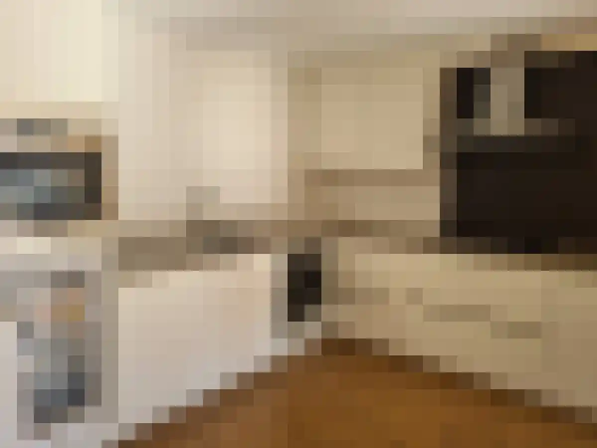Meltersgang 2 Zwolle thumbnail 5