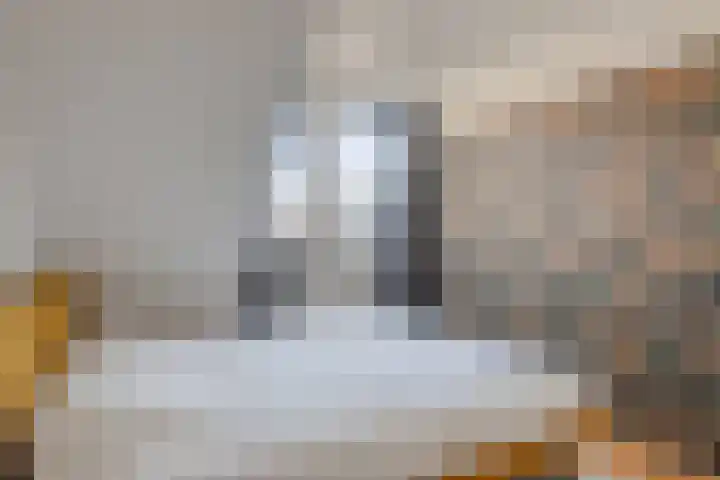 Melvert 6 Helmond thumbnail 31