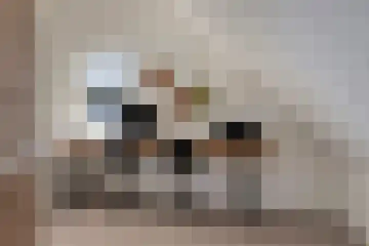 Melvert 6 Helmond thumbnail 43