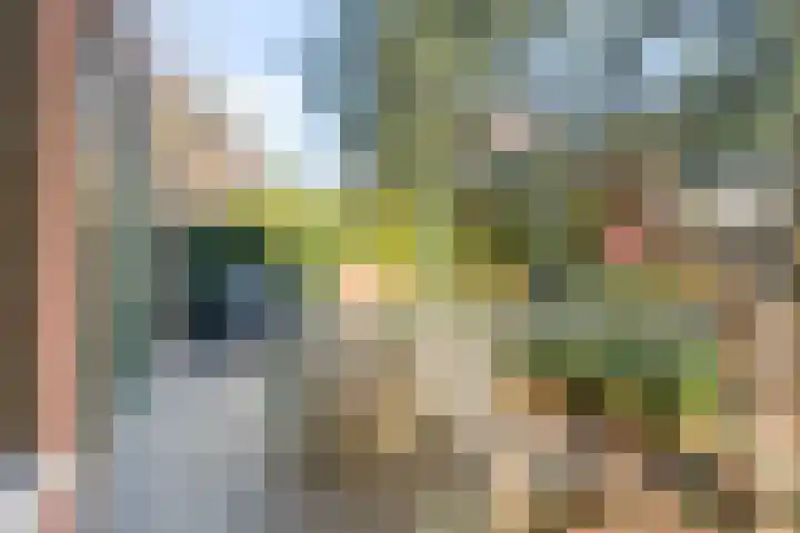 Melvert 6 Helmond thumbnail 47