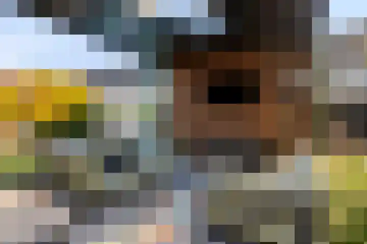 Melvert 6 Helmond thumbnail 48