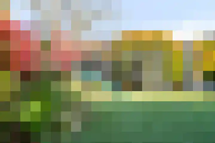Melvert 6 Helmond thumbnail 53