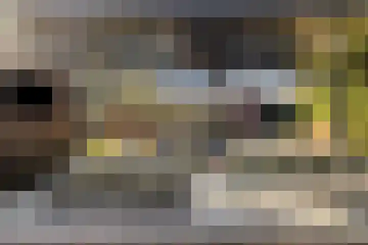 Melvert 6 Helmond thumbnail 6