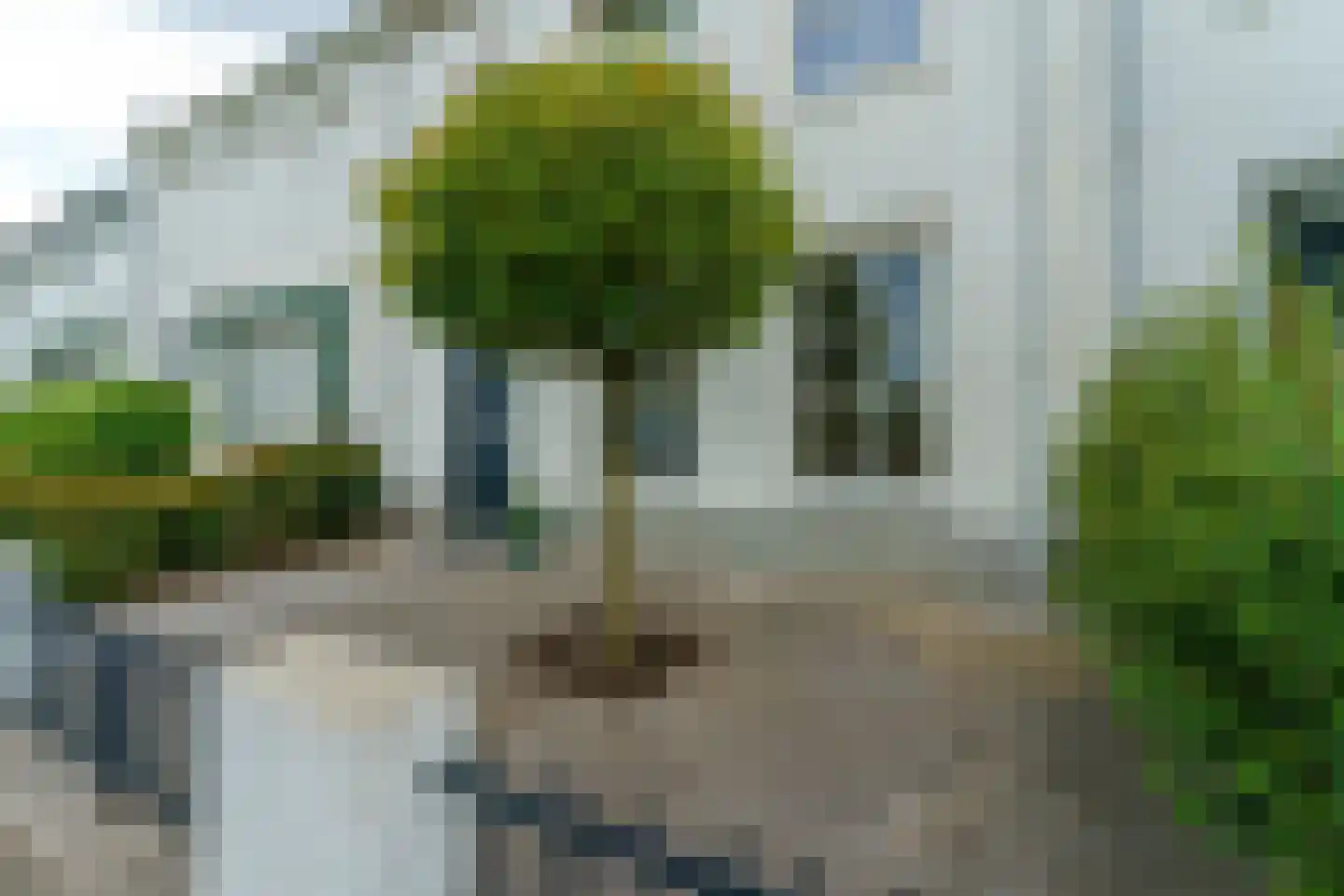 Melvert 7 Helmond thumbnail 38