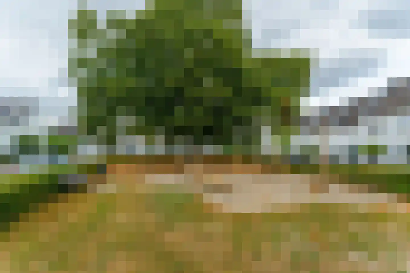 Melvert 7 Helmond thumbnail 41
