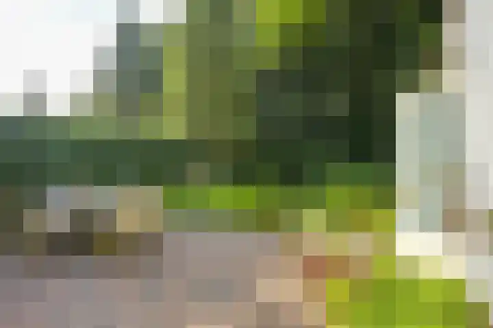 Melvill van Carnbeelaan 100 Driebergen-Rijsenburg thumbnail 24