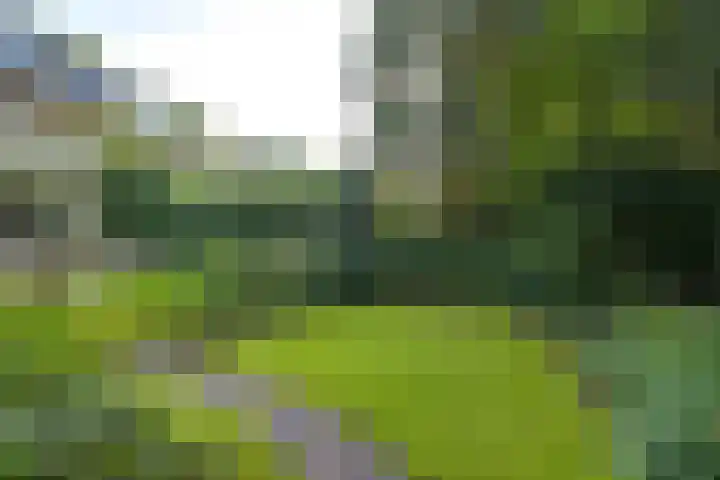 Melvill van Carnbeelaan 100 Driebergen-Rijsenburg thumbnail 28