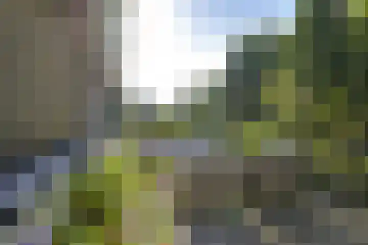 Melvill van Carnbeelaan 100 Driebergen-Rijsenburg thumbnail 30