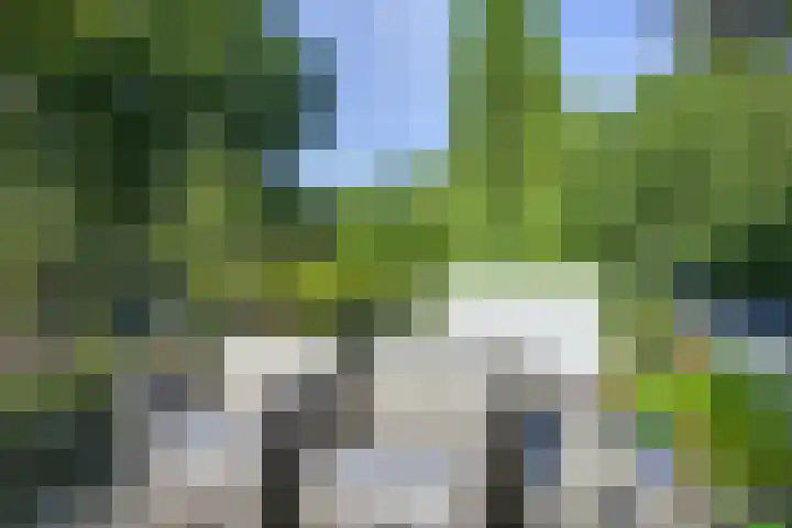 Melvill van Carnbeelaan 100 Driebergen-Rijsenburg thumbnail 32